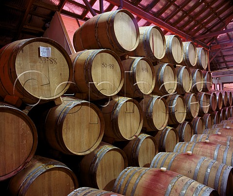 Barrel room of Cape Mentelle Winery    Margaret River Western Australia