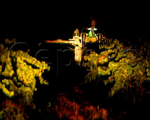 Harvesting at night on the Moondah Brook estate of Houghton Wines Gingin Western Australia