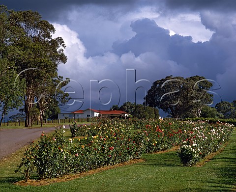 Stormy sky over Tyrrells Ashmans winery Pokolbin New South Wales   Australia    Lower Hunter Valley