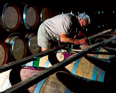 Filling barrels with Koonunga Shiraz at   Penfolds Nuriootpa winery South Australia    Barossa Valley