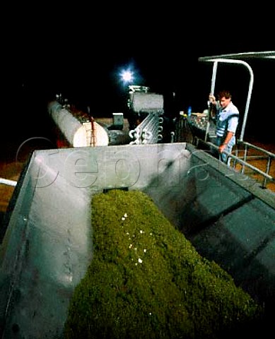 Chardonnay grapes in a mobile crushing and   refrigeration plant at Houghtons Moondah Brook   Estate Gingin Western Australia