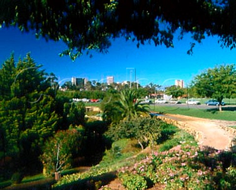 Parkland surrounding the city of Adelaide   South Australia