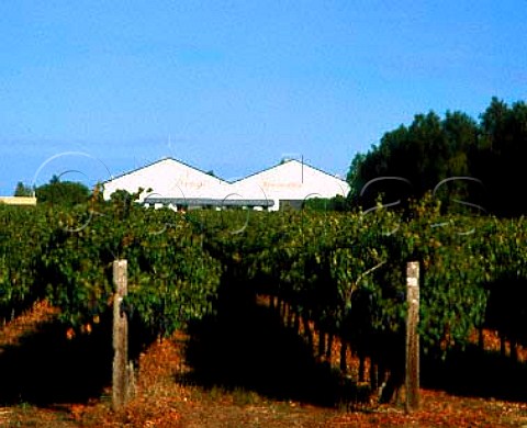 Lindemans Rouge Homme Winery Coonawarra   South Australia