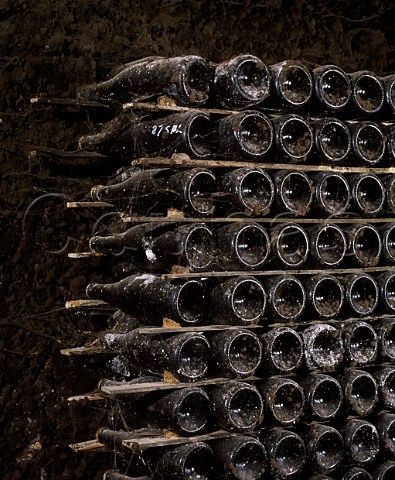 Sparkling wine maturing in the   underground cellars of Seppelts Great Western   Winery Victoria