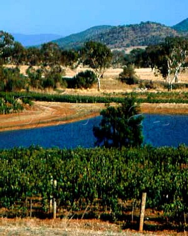 Seppelts vineyards around irrigation lake in the   hills of the Great Dividing Range Great Western   Victoria Australia    Grampians
