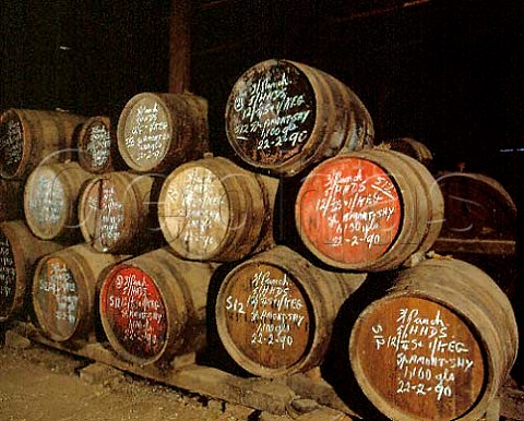 Old barrels of Sherrystyle wine  Morris Wines Rutherglen Victoria Australia