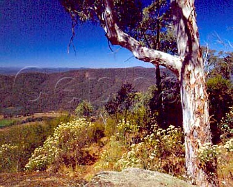 King Valley viewed from Powers Lookout in the Great Dividing Range of northeast Victoria Australia