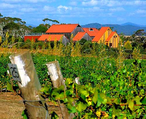 Jansz vineyard and winery owned by the Pipers Brook   Group    Pipers Brook Tasmania Australia