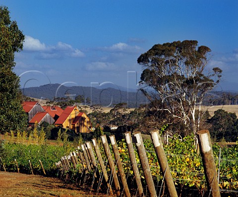 Jansz vineyard and tasting room Pipers Brook Tasmania Australia Pipers River