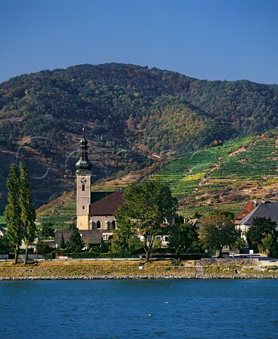 The church of Unterloiben viewed over the Danube River with vineyards on the hill beyond Niedersterreich Austria Wachau