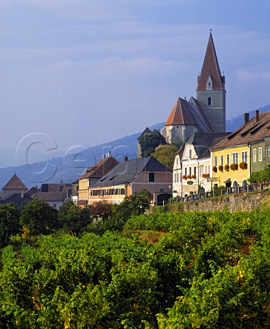 Village of Weissenkirchen in the Danube Valley Niedersterreich Austria  Wachau