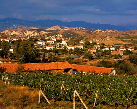 Vineyards with the sandstone cliffs of Melnik and   the Pirin Mountains beyond  Struma Valley region