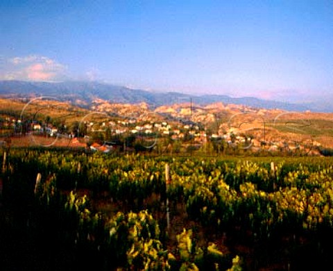 Vineyards with the sandstone cliffs of Melnik and   the Pirin Mountains beyond Bulgaria     Struma Valley