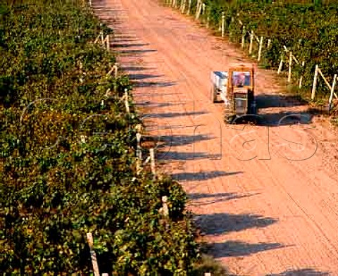 Tractor driving along vineyard road to the east of  Novi Pazar Bulgaria Black Sea region