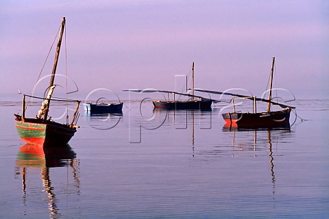 Fishing boats moored at low tide   Hurghada on the Red Sea coast Egypt