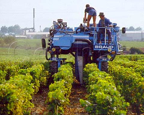 Machine harvesting of Merlot grapes in vineyard   with the industry of Pauillac beyond   Gironde France   Mdoc  Bordeaux