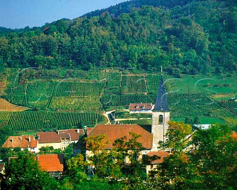 Vineyards around village of Mesnay   near Arbois Jura France