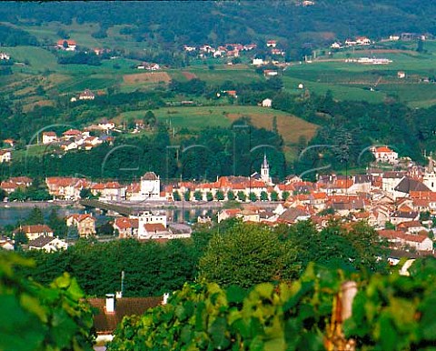Vineyard above Seyssel and the Rhne Valley  HauteSavoie France   Seyssel