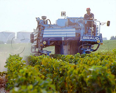 Machine harvesting of Merlot grapes with the   industry of Pauillac beyond   Gironde France  Mdoc  Bordeaux