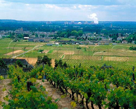 Vineyards above Bourgueil with the Chinon   Nuclear Power Station in the distance    IndreetLoire France