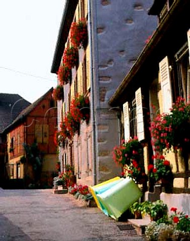 The wine village of Hunawihr at harvest time Alsace