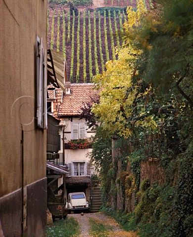 Grand cru Schoenenbourg vineyard viewed from a   backstreet in Riquewihr HautRhin France   Alsace