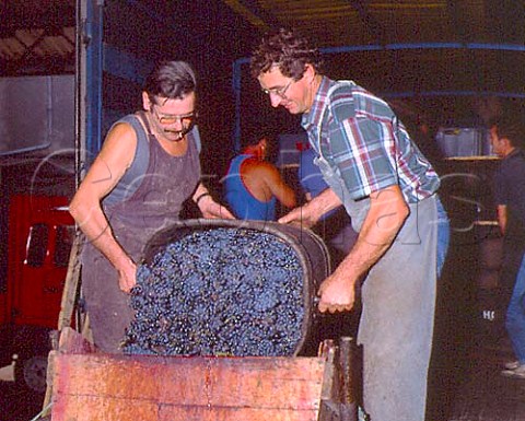 Unloading harvested Syrah grapes from their vineyard   on the Cte Rtie at the winery of M Chapoutier   TainlHermitage Drme France