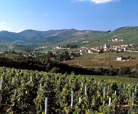 Village of Julinas surrounded by its vineyards   with the Beaujolais Mountains beyond  Rhne France   Julinas  Beaujolais