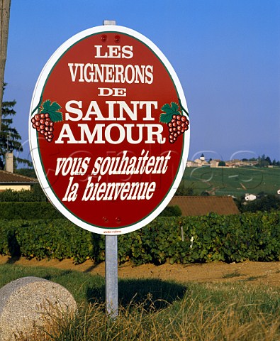 Welcome sign at StAmour SaneetLoire France    StAmour  Beaujolais