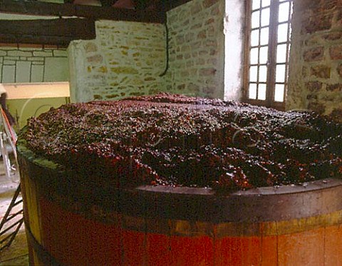 Pinot Noir fermenting in open topped cask at Chateau   de Chamirey of Antonin Rodet Mercurey   SaoneetLoire France Cote Chalonnaise