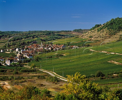Village and vineyards of StAubin Cte dOr  France Cte de Beaune