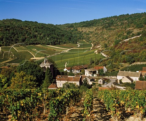 Village of Gamay surrounded by vineyards   Cte dOr France   StAubin