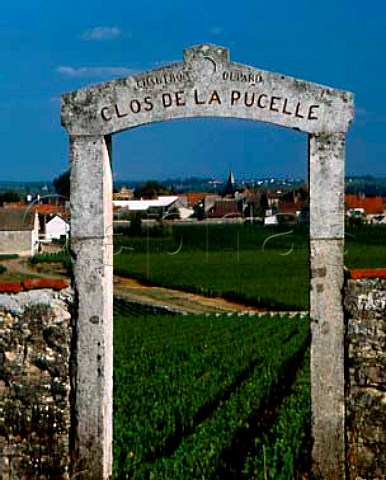 Entrance to Clos de la Pucelle vineyard with village   of PulignyMontrachet beyond Cte dOr France   Cte de Beaune