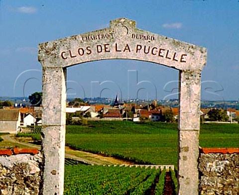 Entrance to Clos de la Pucelle with village of   PulignyMontrachet beyond  Cte dOr France     Cte de Beaune