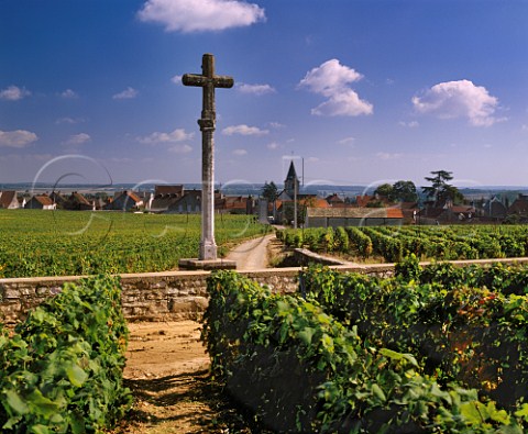 Cross at VosneRomane viewed from RomaneConti vineyard with Romane StVivant beyond the wall Cte dOr France    Cte de Nuits