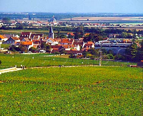VosneRomane viewed over La Tche and   Romane StVivant vineyards Cte dOr France Cte   de Nuits