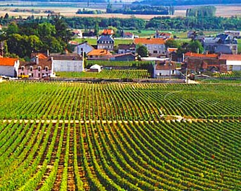 VosneRomane viewed over La Tche vineyard of Domaine de la RomaneConti Cte dOr France Cte de Nuits Grand Cru