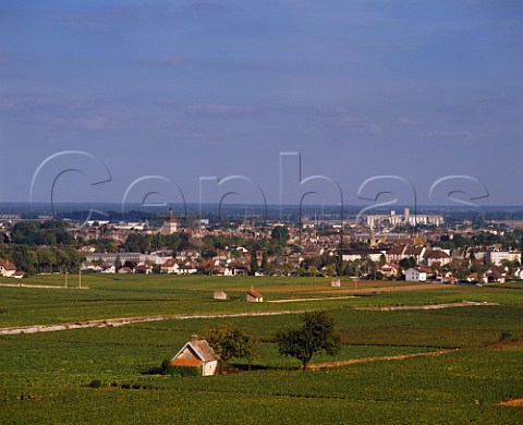 Beaune viewed from the north west over   Les Avaux vineyard Cte dOr France  Cte de Beaune Premier Cru