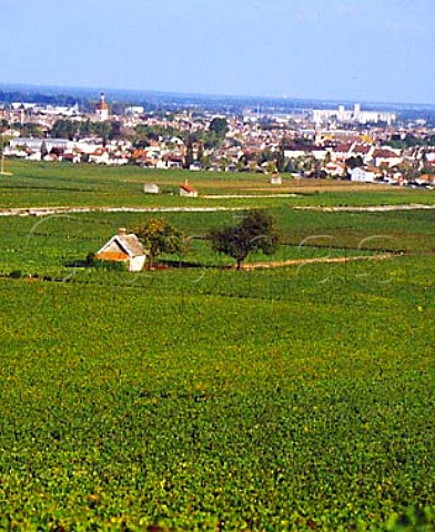 Beaune viewed from the north west over les Avaux   Cote de Beaune Premier Cru