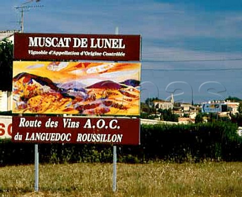 Muscat de Lunel sign at Verargues Hrault France    ACs Coteaux du Languedoc   VDN Muscat de Lunel