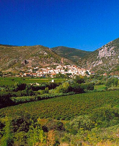 Village and vineyards of Roquebrun in the   Orb valley Hrault France  AC StChinian