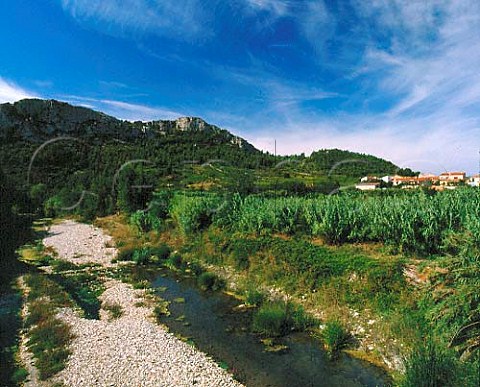 Le Verdouble river at Tautavel PyrnesOrientales   France   Ctes du RoussillonVillages