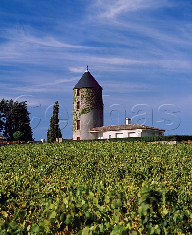 Former windmill in vineyard at Halopierre near Monnires LoireAtlantique France   AC Muscadet de SvreetMaine