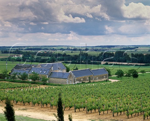 Domaine de Beausejour and its Cabernet Franc vineyards Panzoult IndreetLoire France Chinon