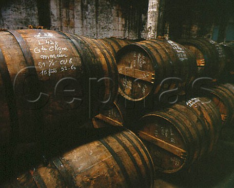Cognac from the Grande Champagne area ageing in   barrel in one of the warehouses of Courvoisier  Jarnac Charente France