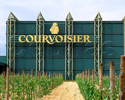 Courvoisier distillery amongst the vineyards on the   outskirts of Jarnac Charente France    Cognac