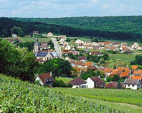 Vineyards around the village of   StMartindAblois to the southwest of pernay Marne France     Champagne