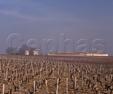 Chteau Latour viewed over its vineyard on a misty winter morning  Pauillac Gironde France  Mdoc  Bordeaux