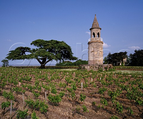 The tower in vineyard of Chteau La Tour de By with the Gironde estuary in distance    Bgadan Gironde France   Mdoc Cru Bourgeois Suprieur