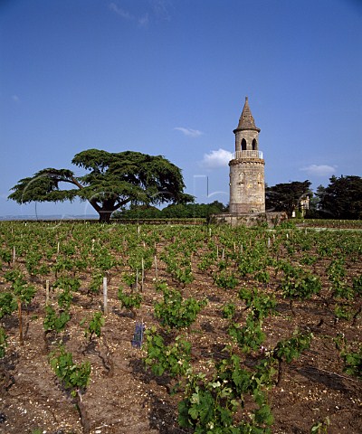 The tower in the vineyards of Chteau La Tour de By with the Gironde estuary in the distance   Bgadan Gironde France   Mdoc Cru Bourgeois Suprieur